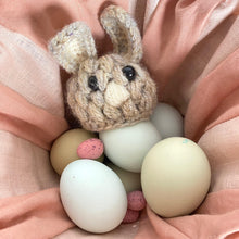 Load image into Gallery viewer, Rabbit Egg Cosy