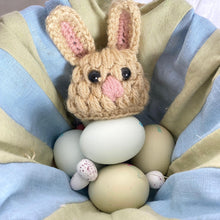 Load image into Gallery viewer, Rabbit Egg Cosy