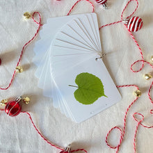 Load image into Gallery viewer, Tree Spotting Guide